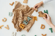 Load image into Gallery viewer, WITHIN Alphabets™ - Forest