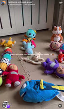 Load and play video in Gallery viewer, Bobo the Bear (BIG)
